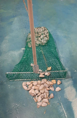 Goolwa Pipi Cockle Rake Net with Deluxe Aluminium Handle