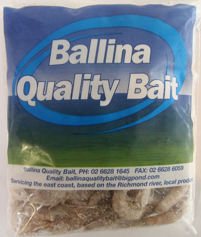 Bait - Prawns - Ballina