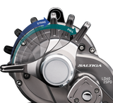 Daiwa 20 Saltiga LD55-2SPD Overhead Reel
