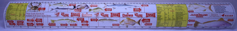 Fish Measure Sticker Ruler - Large 75cm
