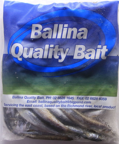 Bait - Frogmouth Pilchards