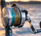 Daiwa 20 Saltiga LD55-2SPD Overhead Reel