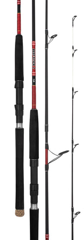 Daiwa Beef Stick Z Overhead Fishing Rod 661HB 6'6" 6-12kg 1 Pce