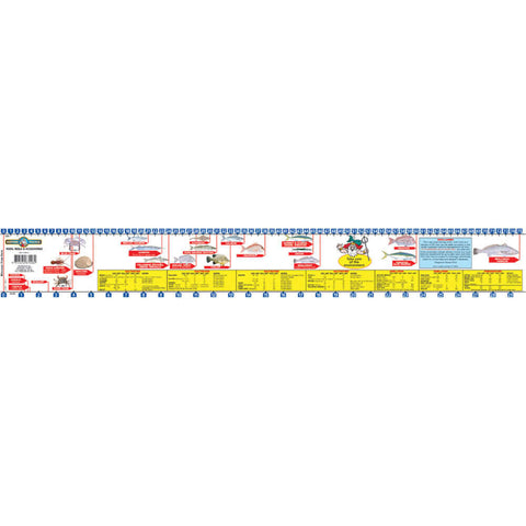 Neptune Fish Measure Sticker Ruler Large 75cm SOR75