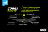 NOMAD Live Ops Cobra 3.75" Jerkshad NATURAL SHAD