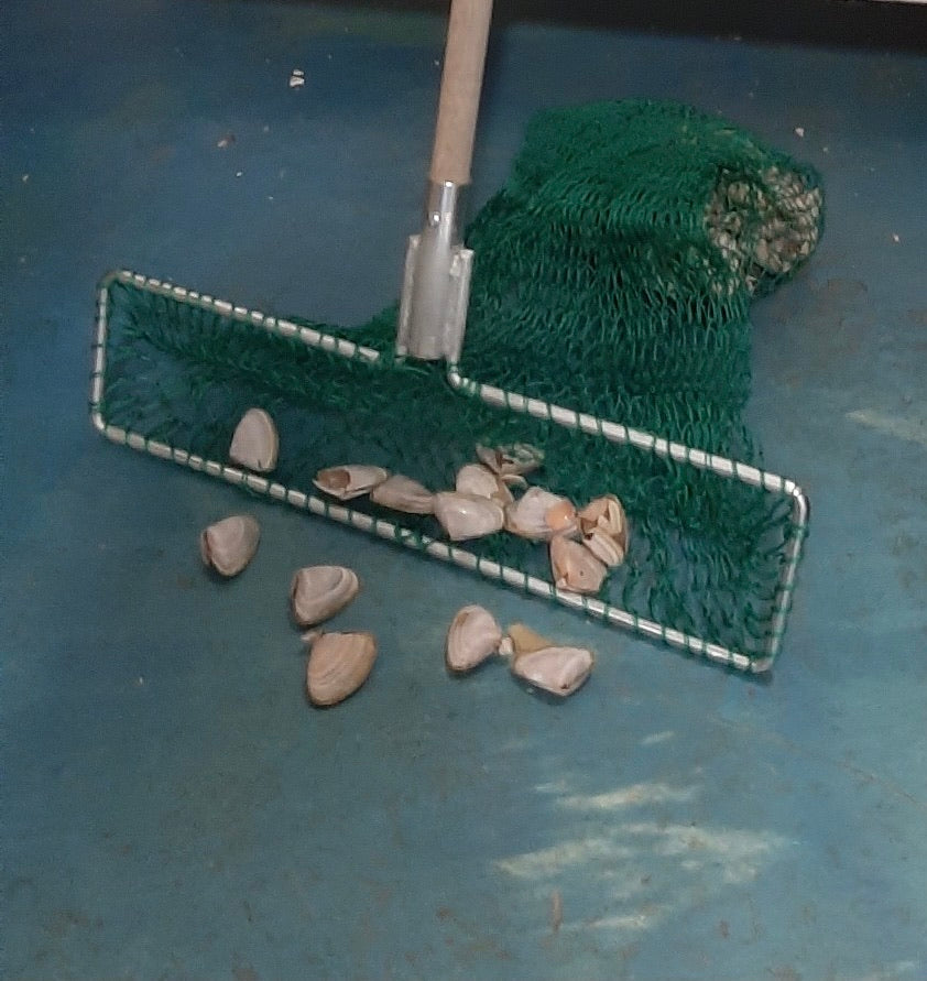 Goolwa Pipi Cockle Rake Net - Aluminium Handle – Mid Coast Fishing Bait ...