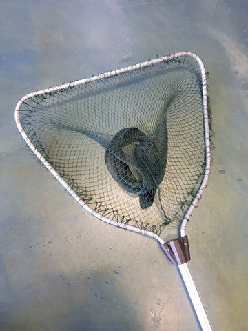 Neptune Tackle Prawn Garfish Dab Net PN130 – Mid Coast Fishing Bait & Tackle