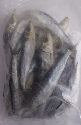 Bait - Salted Pilchards LARGE