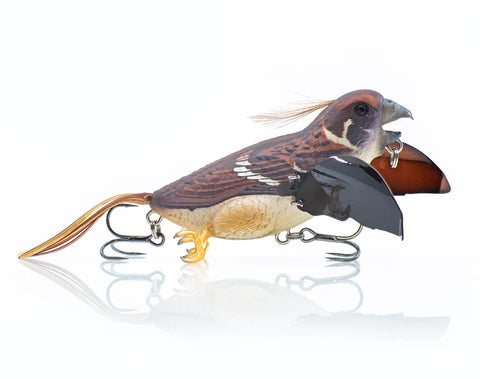 Chasebaits The Smuggle Surface Walker Lure Sparrow 65mm