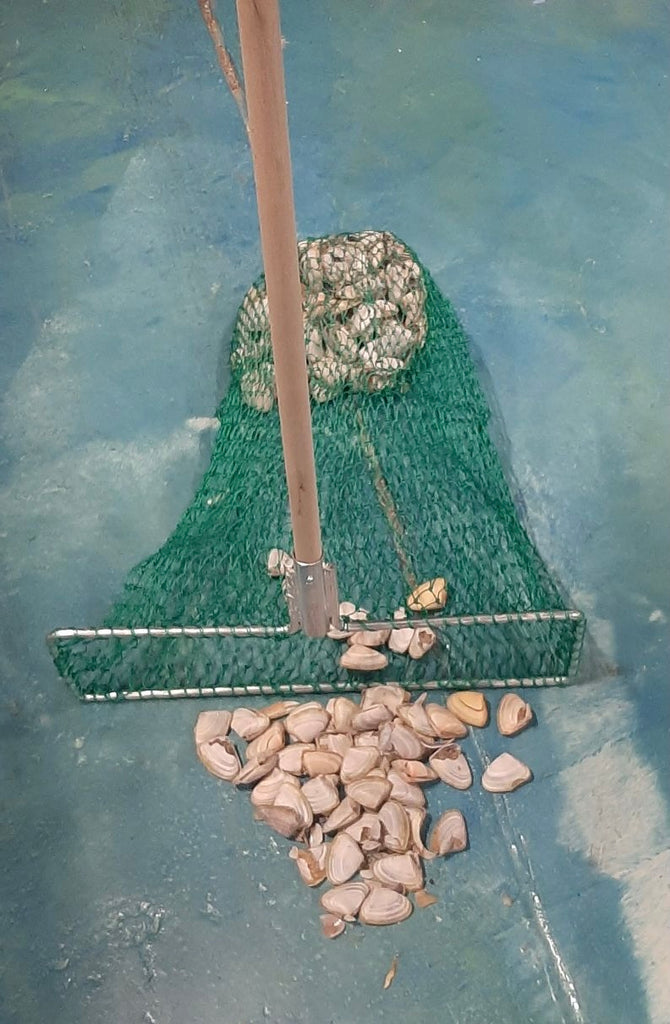 Goolwa Pipi Cockle Rake Net – Mid Coast Fishing Bait & Tackle